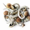 Shrooms (7.0g) - Image 2