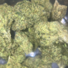 Gelato - 3.5