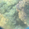 Wedding Cake 7.0 - Image 2