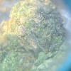 Wedding Cake 7.0